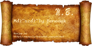 Mészöly Benedek névjegykártya