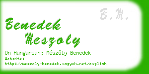 benedek meszoly business card